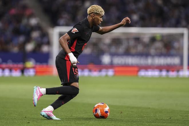 女子篮球联赛赛季最佳球员候选